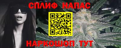 молекула духа Шебекино