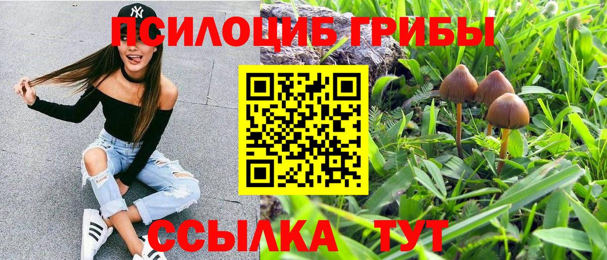 Галлюциногенные грибы Cubensis Усть-Джегута