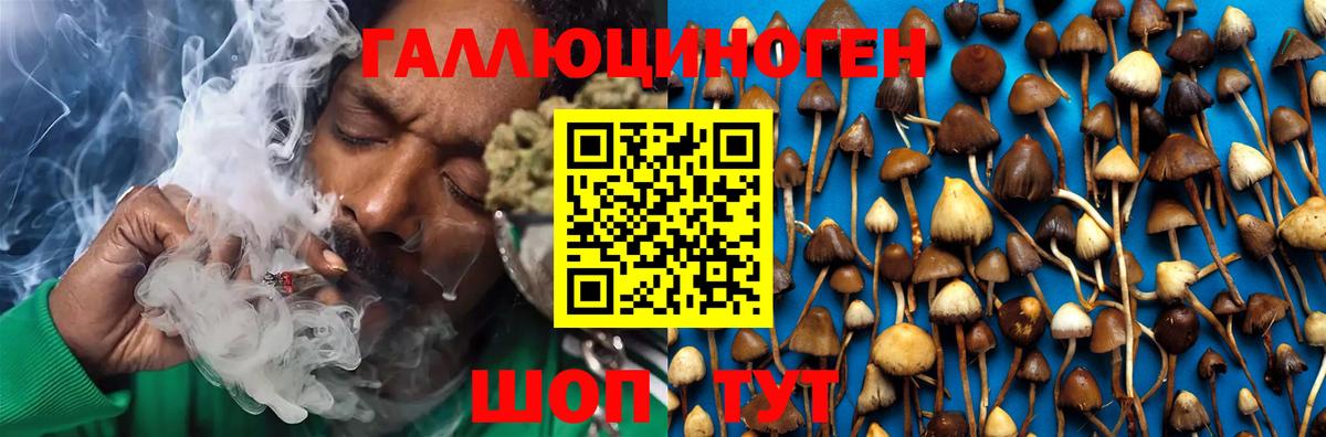 Псилоцибиновые грибы GOLDEN TEACHER  Псилоцибиновые грибы Magic Shrooms  Усть-Джегута  Вход с VPN 